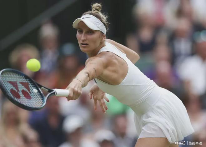 可能被竞争 可能被竞争