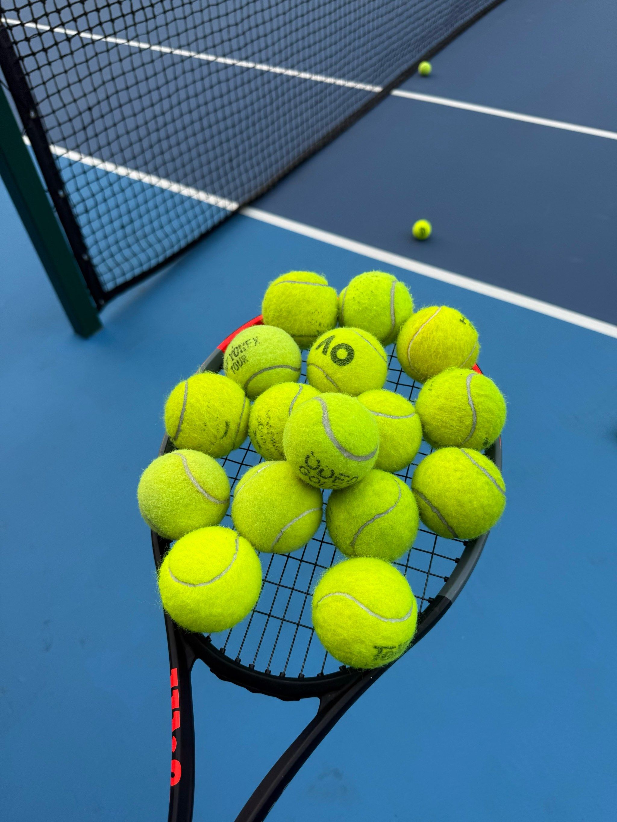 山东省排球 山东省排球