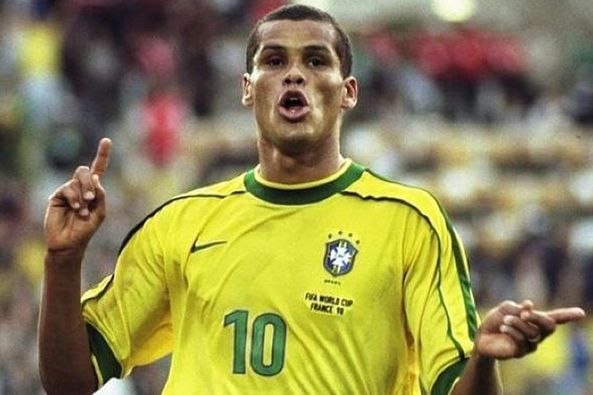 术多样性 术多样性